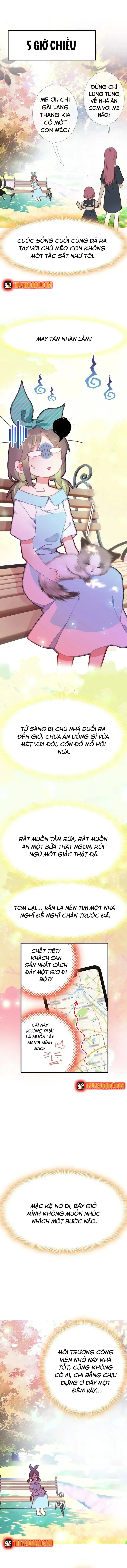Xách Mèo Vào Ở Chapter 2 - Trang 4