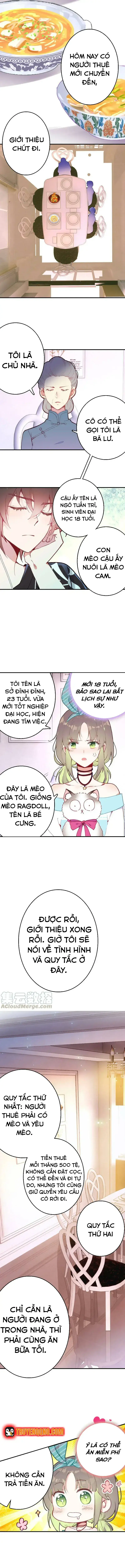 Xách Mèo Vào Ở Chapter 3 - Trang 11
