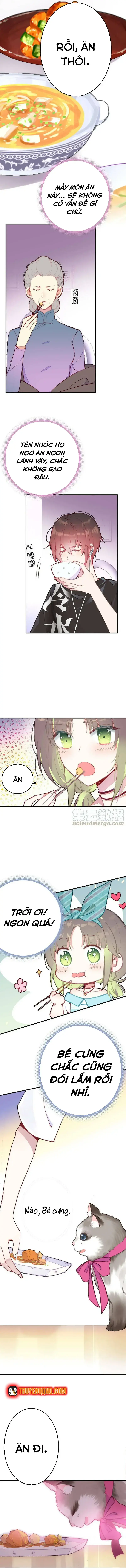 Xách Mèo Vào Ở Chapter 3 - Trang 13