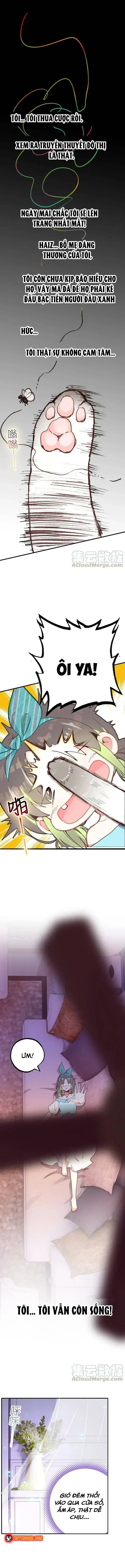 Xách Mèo Vào Ở Chapter 3 - Trang 4