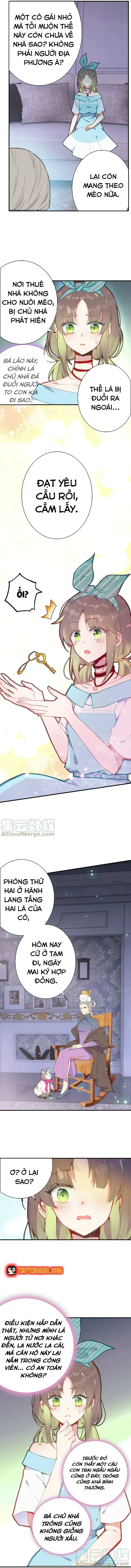 Xách Mèo Vào Ở Chapter 3 - Trang 7