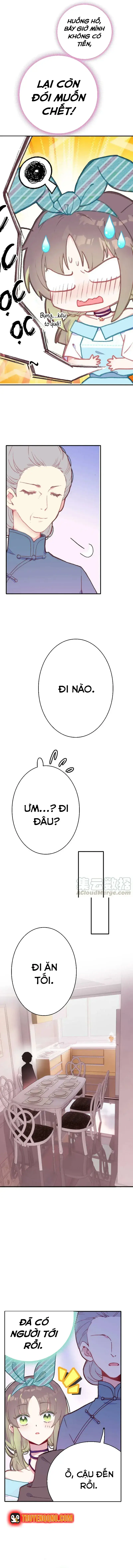 Xách Mèo Vào Ở Chapter 3 - Trang 8