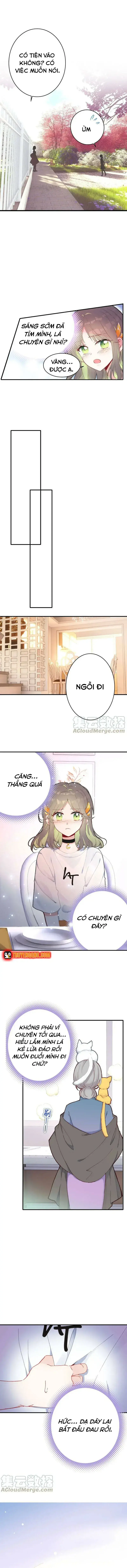 Xách Mèo Vào Ở Chapter 4 - Trang 10