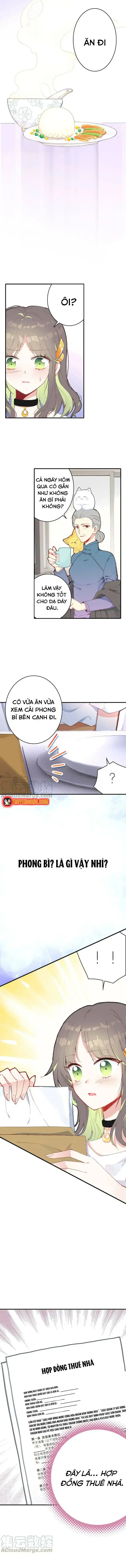 Xách Mèo Vào Ở Chapter 4 - Trang 11