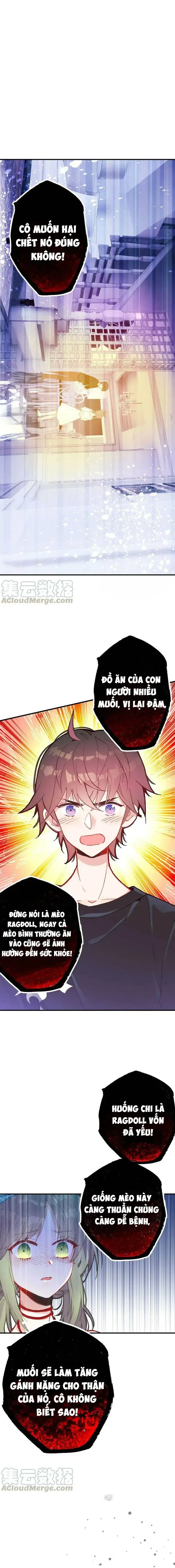 Xách Mèo Vào Ở Chapter 4 - Trang 4