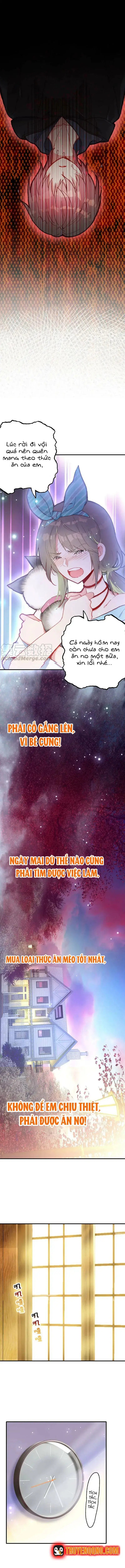 Xách Mèo Vào Ở Chapter 4 - Trang 7