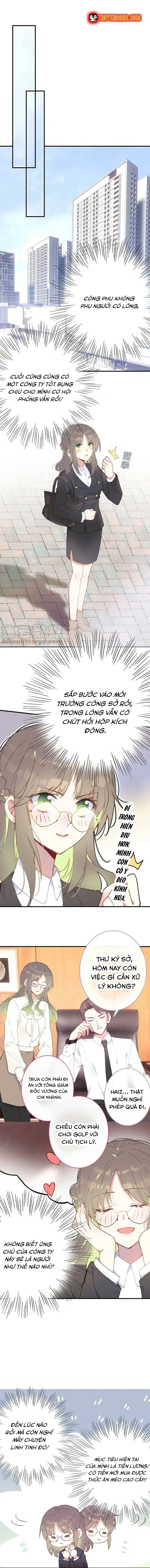 Xách Mèo Vào Ở Chapter 5 - Trang 4
