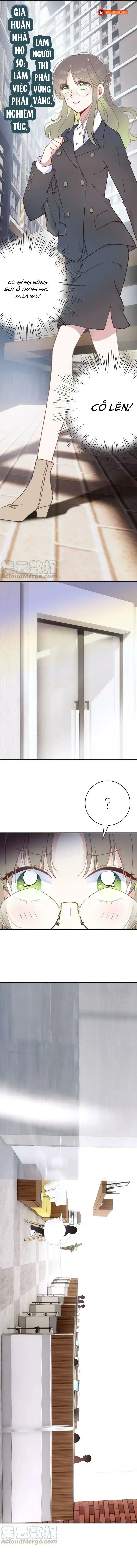Xách Mèo Vào Ở Chapter 5 - Trang 5