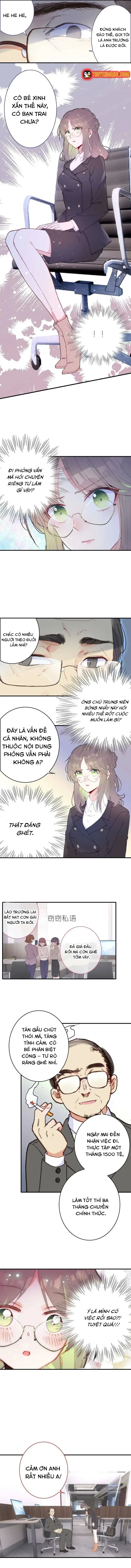 Xách Mèo Vào Ở Chapter 5 - Trang 8