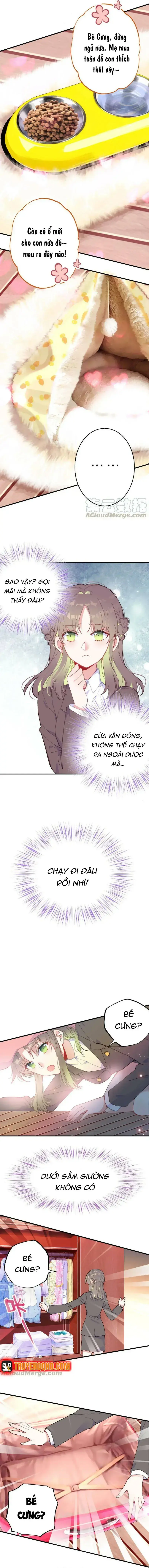 Xách Mèo Vào Ở Chapter 6 - Trang 5