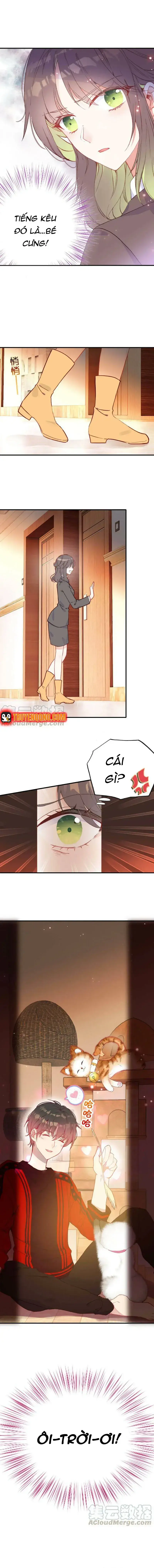 Xách Mèo Vào Ở Chapter 6 - Trang 7