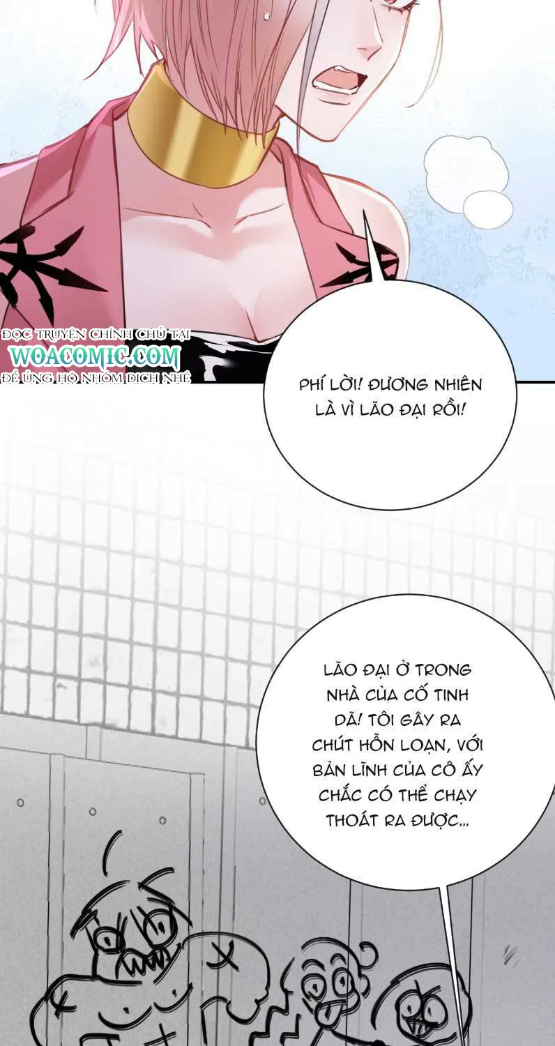 Xin Lỗi Tôi Cũng Là Đại Boss Chapter 4 - Trang 17
