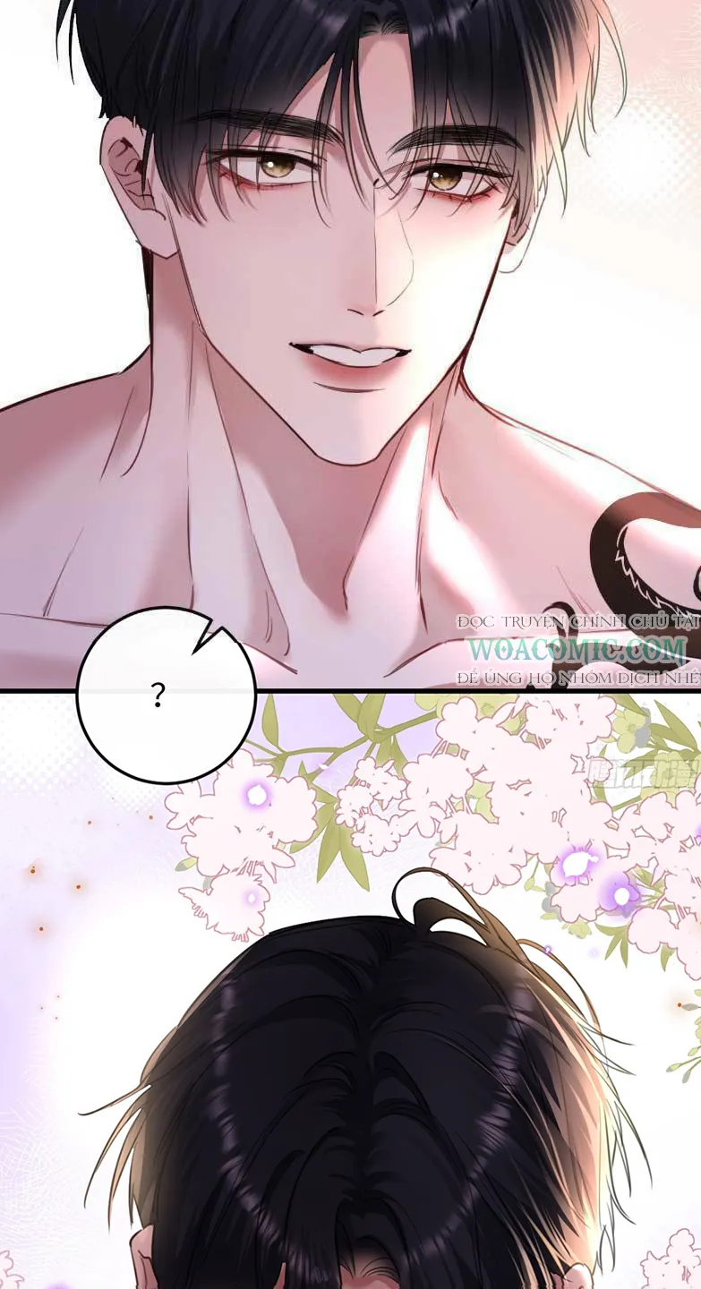 Xin Lỗi Tôi Cũng Là Đại Boss Chapter 5 - Trang 25