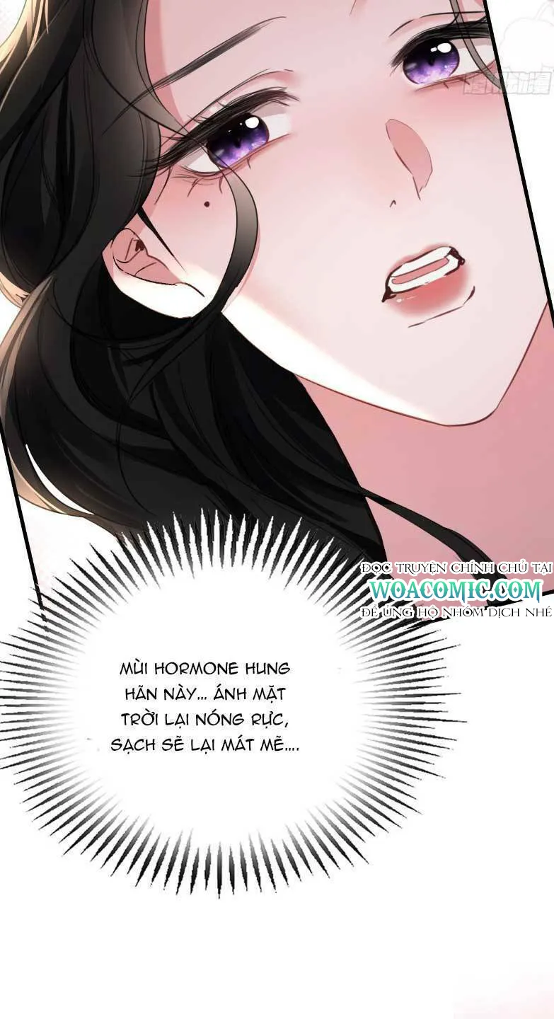 Xin Lỗi Tôi Cũng Là Đại Boss Chapter 5 - Trang 27