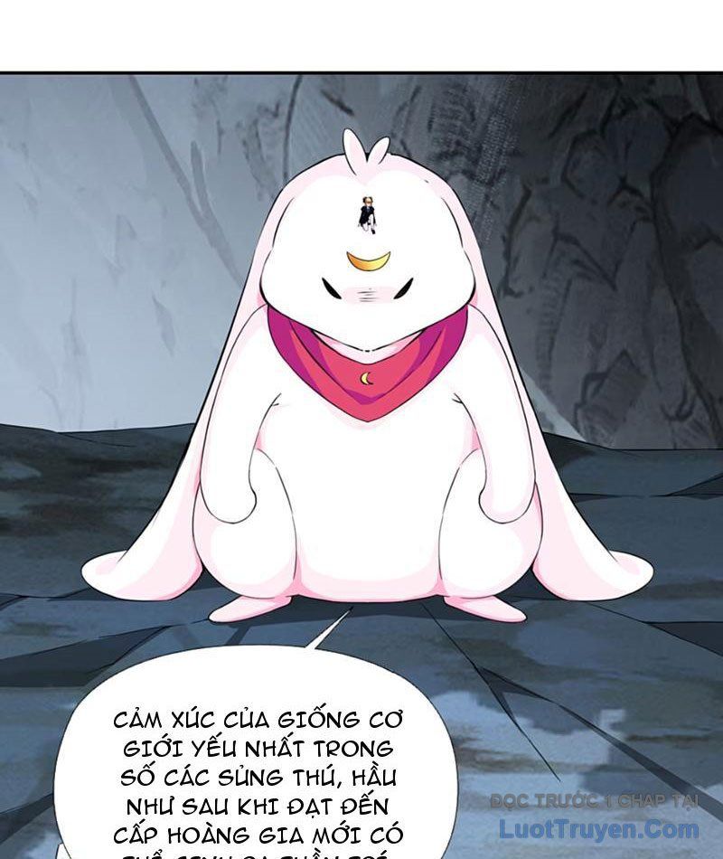 Xong Rồi, Ta Bị Sủng Thú Của Mình Bao Vây Rồi! Chapter 13 - Trang 17