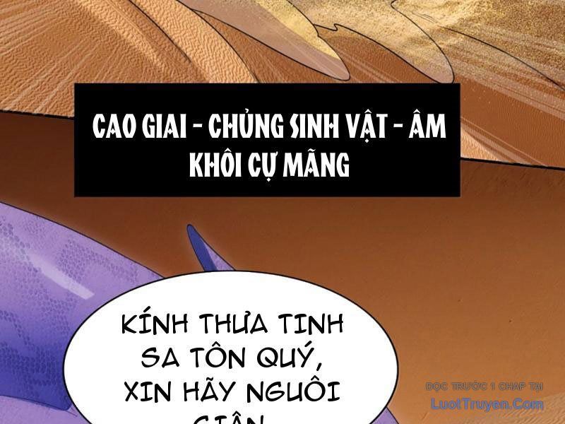 Xong Rồi, Ta Bị Sủng Thú Của Mình Bao Vây Rồi! Chapter 22 - Trang 49