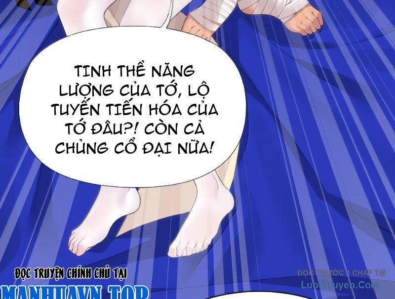Xong Rồi, Ta Bị Sủng Thú Của Mình Bao Vây Rồi! Chapter 24 - Trang 37