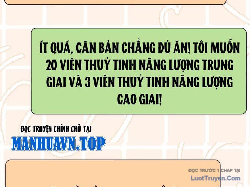 Xong Rồi, Ta Bị Sủng Thú Của Mình Bao Vây Rồi! Chapter 25 - Trang 39