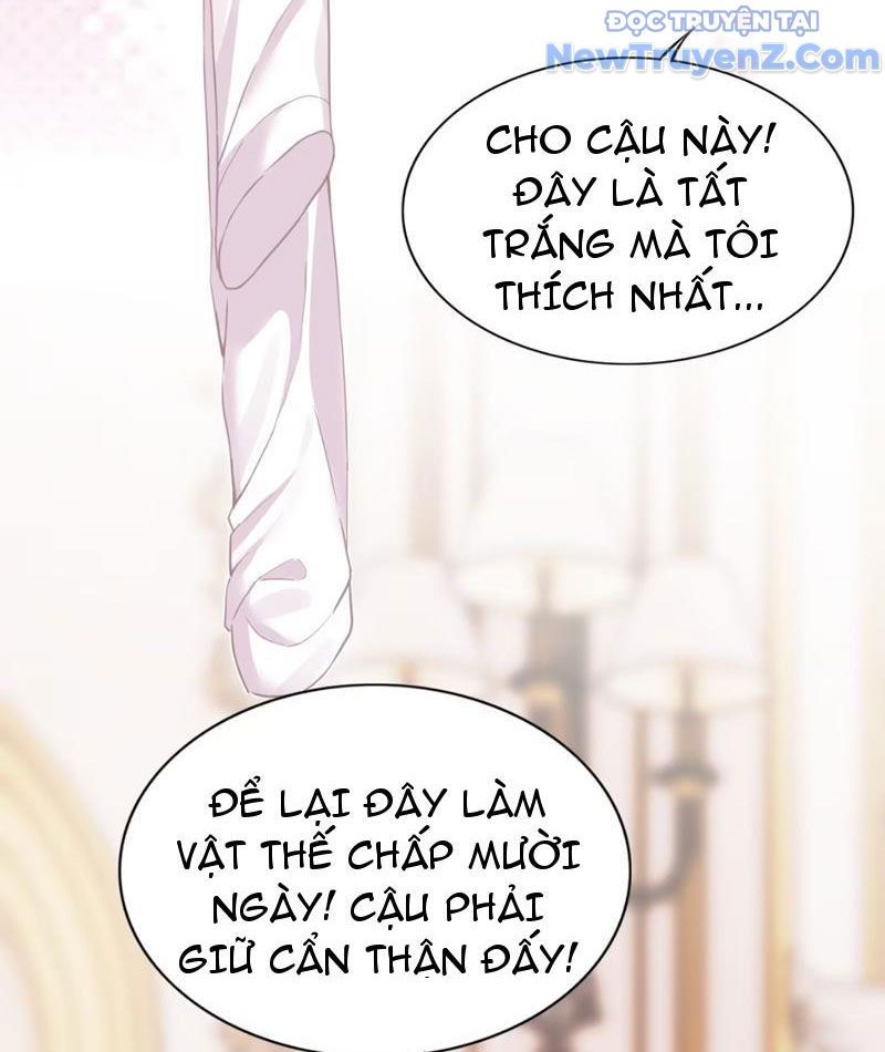 Xong Rồi, Ta Bị Sủng Thú Của Mình Bao Vây Rồi! Chapter 8 - Trang 6