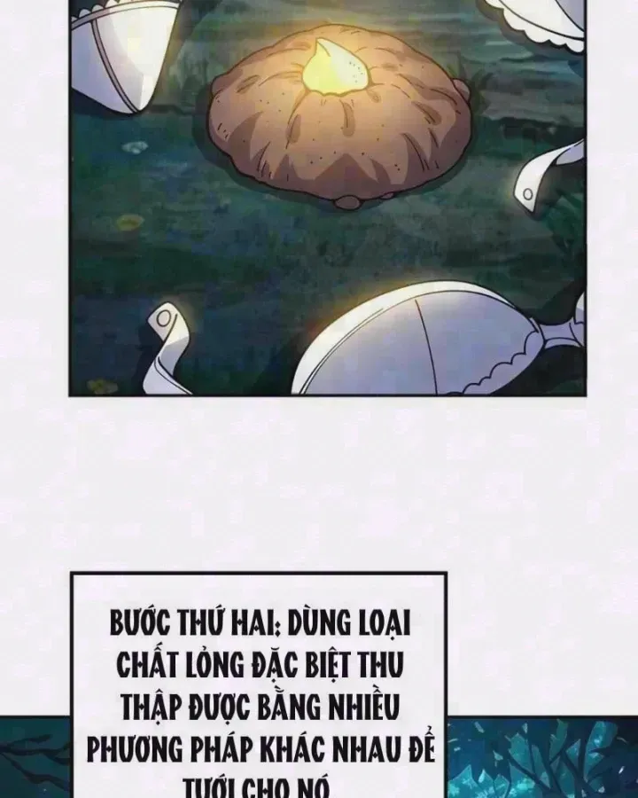 Xuyên Không Tới Dị Giới, Chỉ Muốn Cùng Ma Vật Yêu Đương Chapter 15 - Trang 6