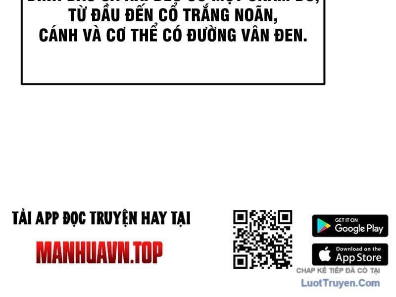 Xuyên Không Tới Tu Tiên Giới Làm Trù Thần Chapter 16 - Trang 17