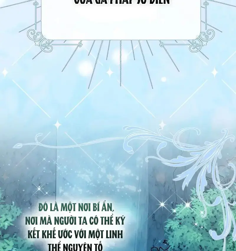 Xuyên Sách Tôi Bị Cả Nhà Yêu Chiều Quá Mức Chapter 47 - Trang 14