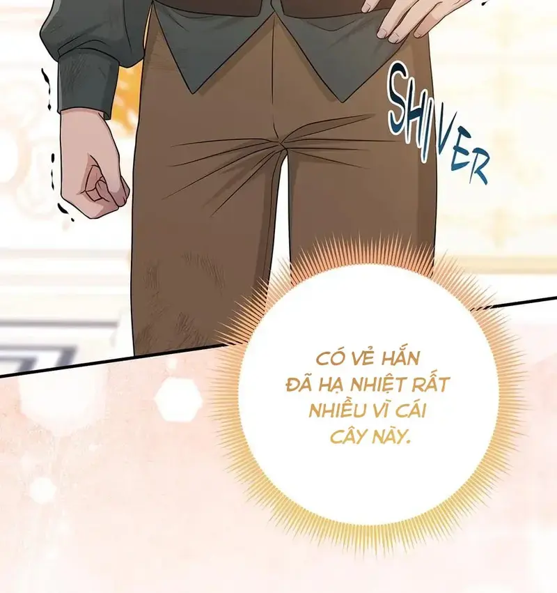 Xuyên Sách Tôi Bị Cả Nhà Yêu Chiều Quá Mức Chapter 50 - Trang 44