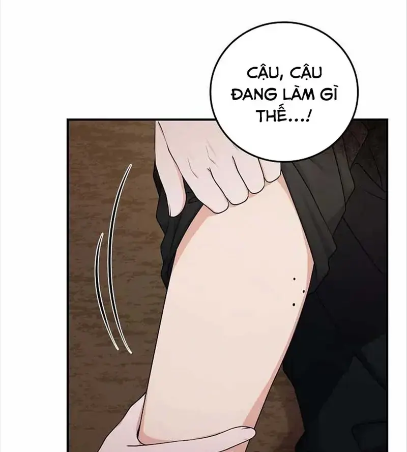 Xuyên Sách Tôi Bị Cả Nhà Yêu Chiều Quá Mức Chapter 9 - Trang 18