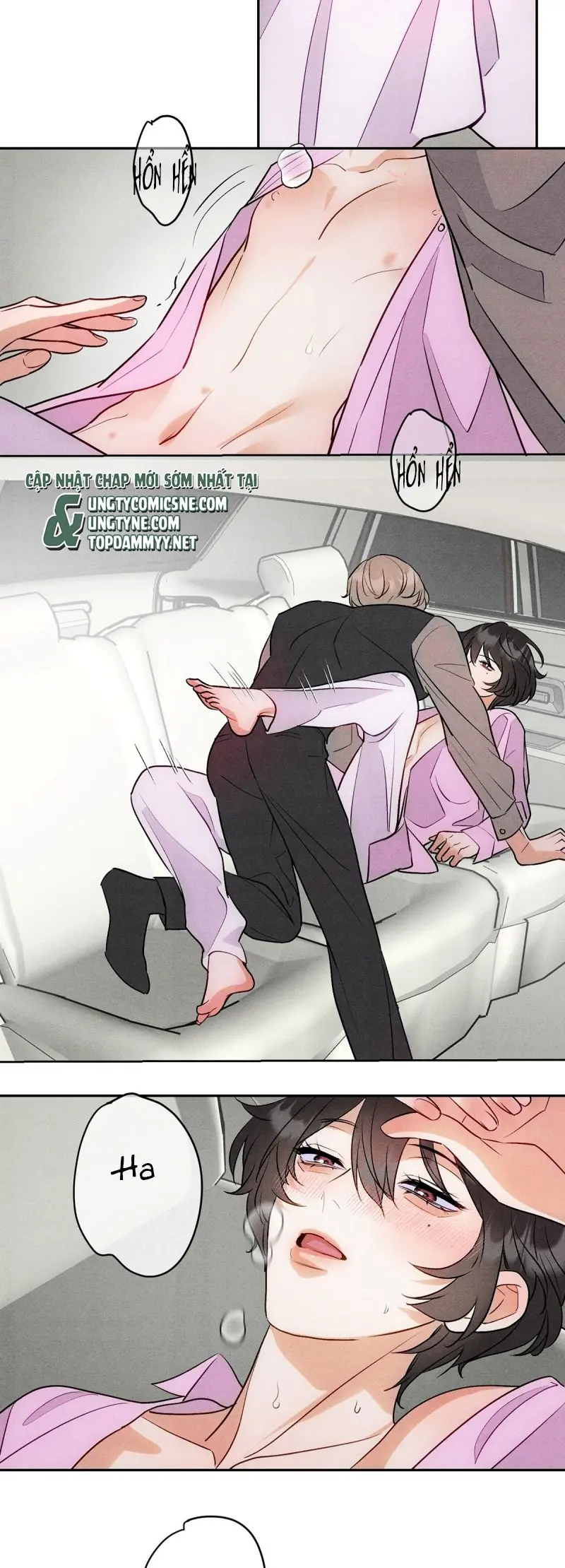 Xuyên Thành Con Ngỗng Vàng Của Đại Lão Alpha Chapter 11 - Trang 9