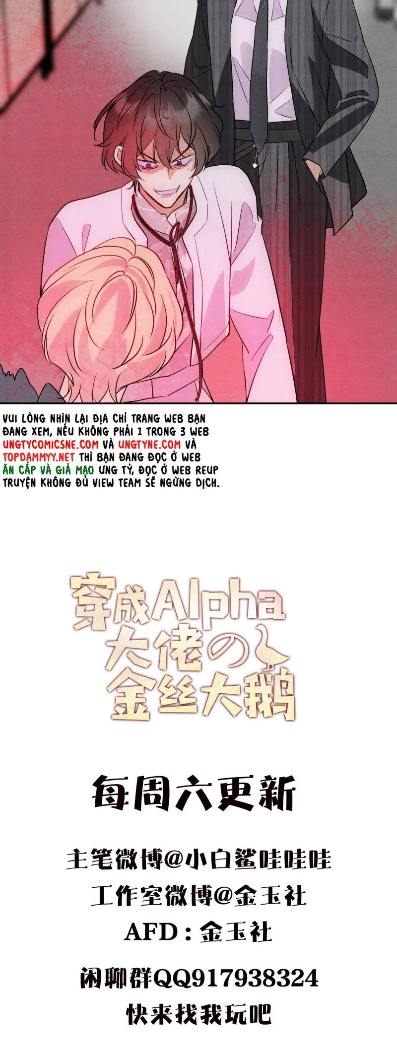 Xuyên Thành Con Ngỗng Vàng Của Đại Lão Alpha Chapter 13 - Trang 27