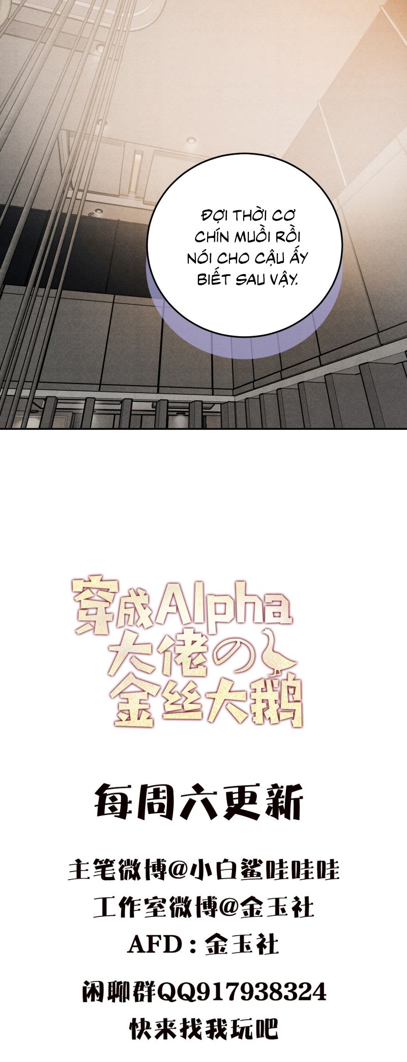 Xuyên Thành Con Ngỗng Vàng Của Đại Lão Alpha Chapter 14 - Trang 32