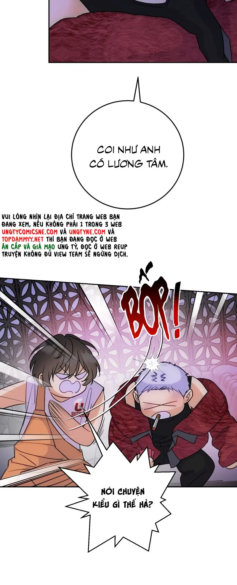 Xuyên Thành Con Ngỗng Vàng Của Đại Lão Alpha Chapter 17 - Trang 8