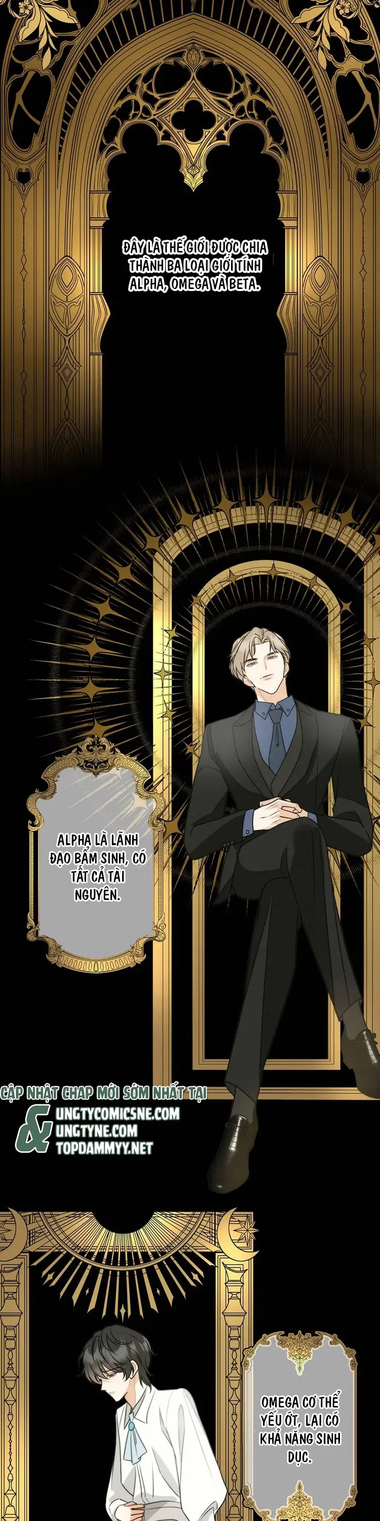 Xuyên Thành Con Ngỗng Vàng Của Đại Lão Alpha Chapter 2 - Trang 11