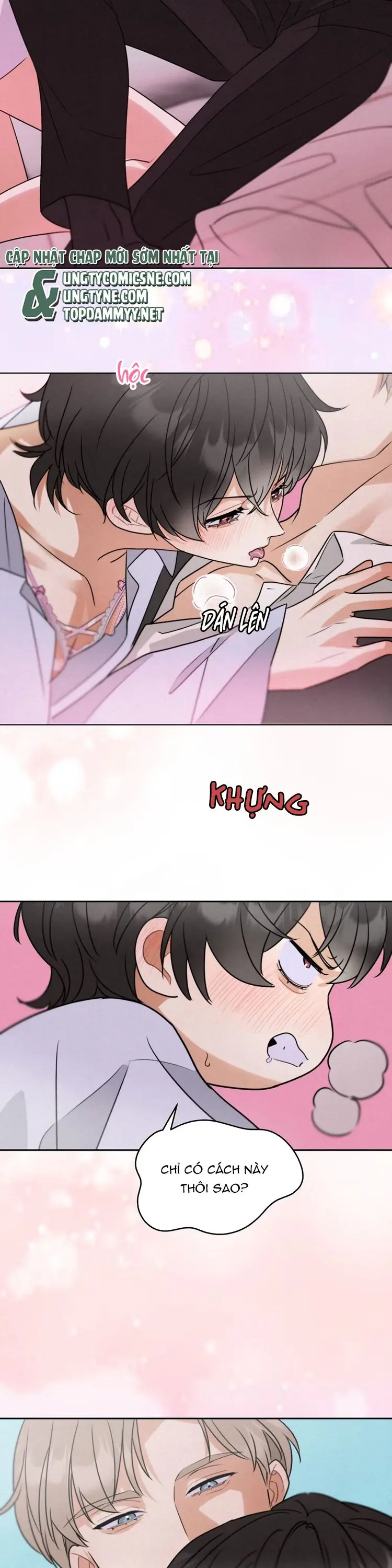 Xuyên Thành Con Ngỗng Vàng Của Đại Lão Alpha Chapter 2 - Trang 19