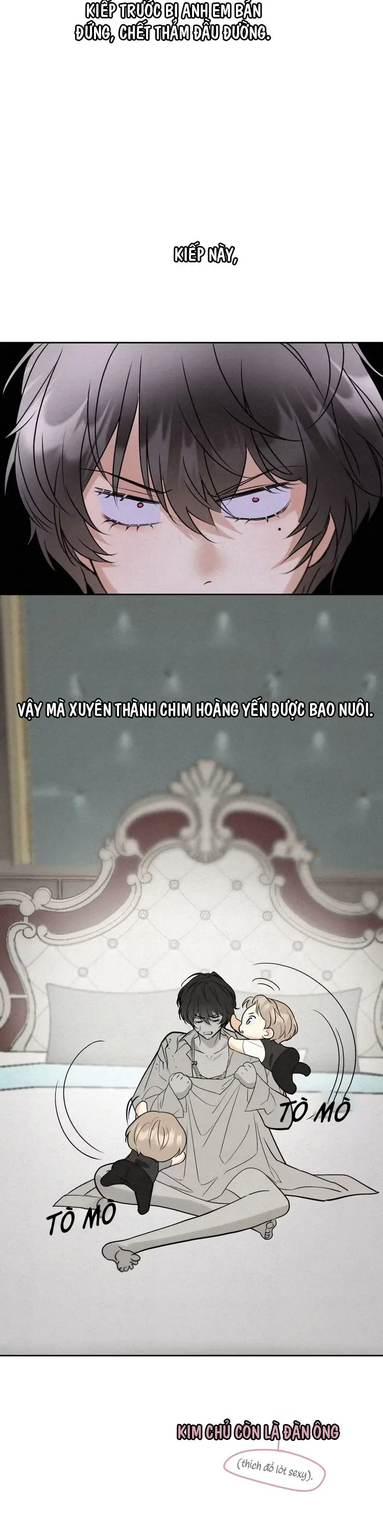 Xuyên Thành Con Ngỗng Vàng Của Đại Lão Alpha Chapter 2 - Trang 2