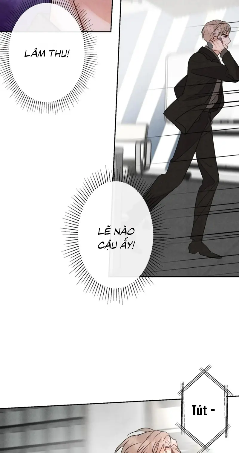 Xuyên Thành Con Ngỗng Vàng Của Đại Lão Alpha Chapter 22 - Trang 12