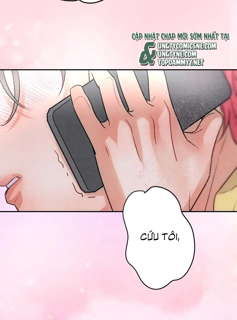 Xuyên Thành Con Ngỗng Vàng Của Đại Lão Alpha Chapter 22 - Trang 18