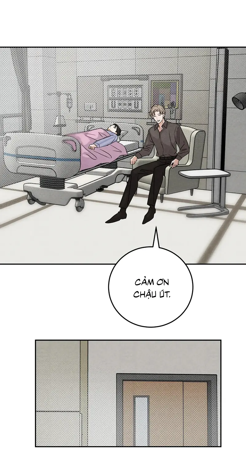 Xuyên Thành Con Ngỗng Vàng Của Đại Lão Alpha Chapter 23 - Trang 17