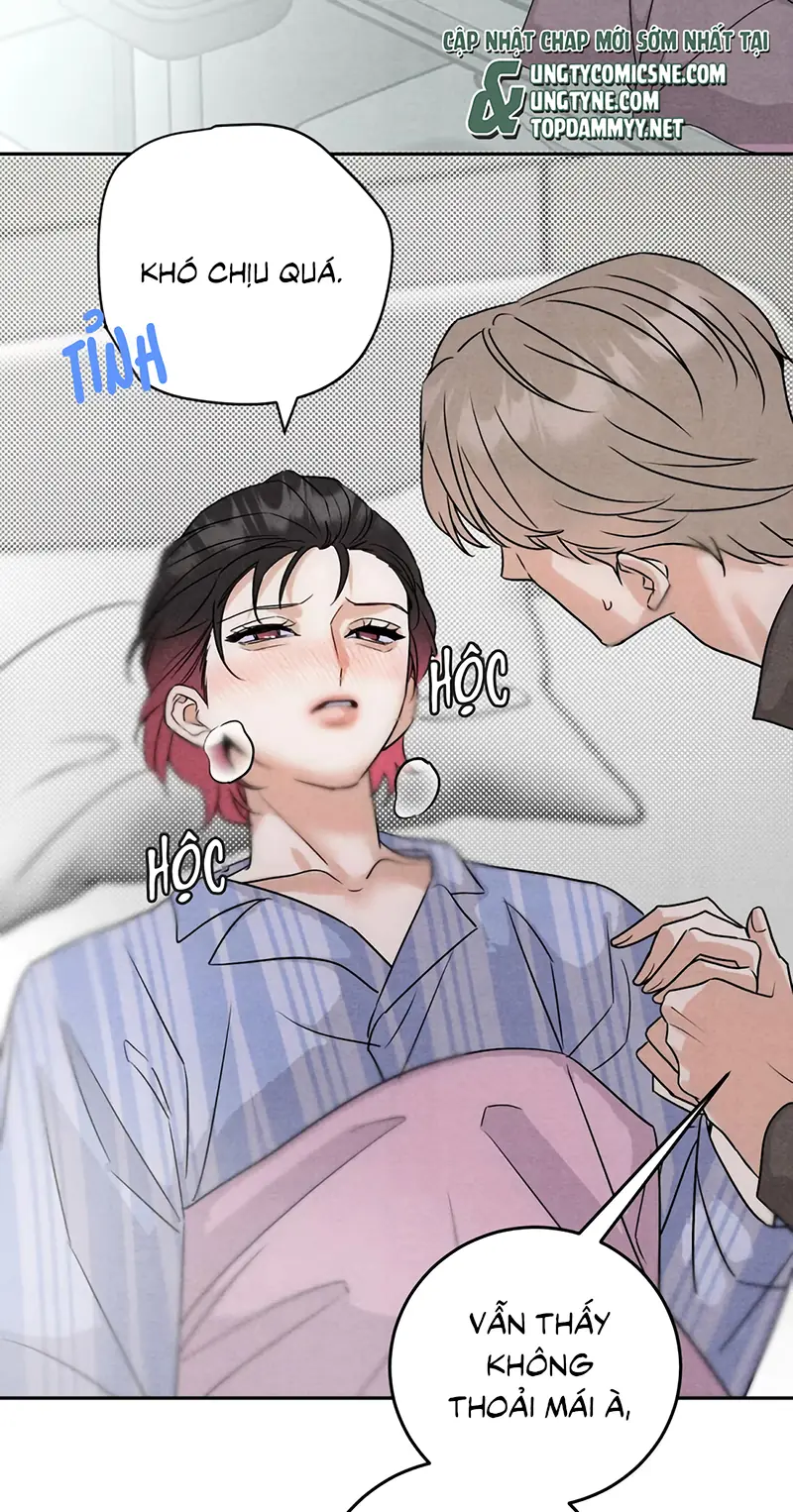 Xuyên Thành Con Ngỗng Vàng Của Đại Lão Alpha Chapter 23 - Trang 19