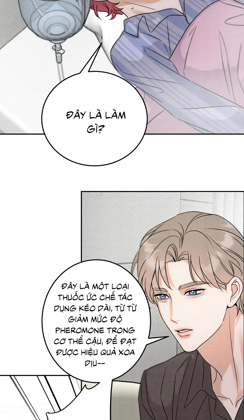 Xuyên Thành Con Ngỗng Vàng Của Đại Lão Alpha Chapter 23 - Trang 21