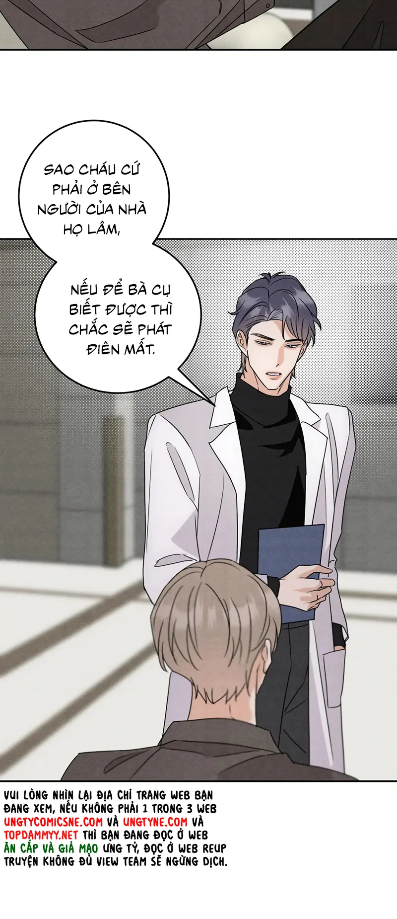 Xuyên Thành Con Ngỗng Vàng Của Đại Lão Alpha Chapter 23 - Trang 9