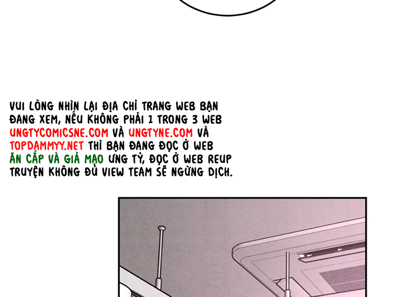 Xuyên Thành Con Ngỗng Vàng Của Đại Lão Alpha Chapter 24 - Trang 11