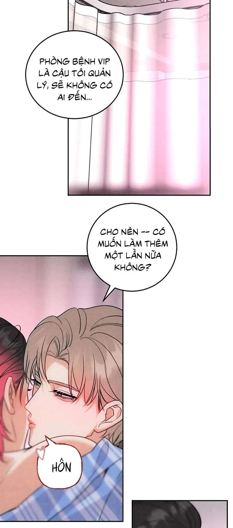 Xuyên Thành Con Ngỗng Vàng Của Đại Lão Alpha Chapter 24 - Trang 12