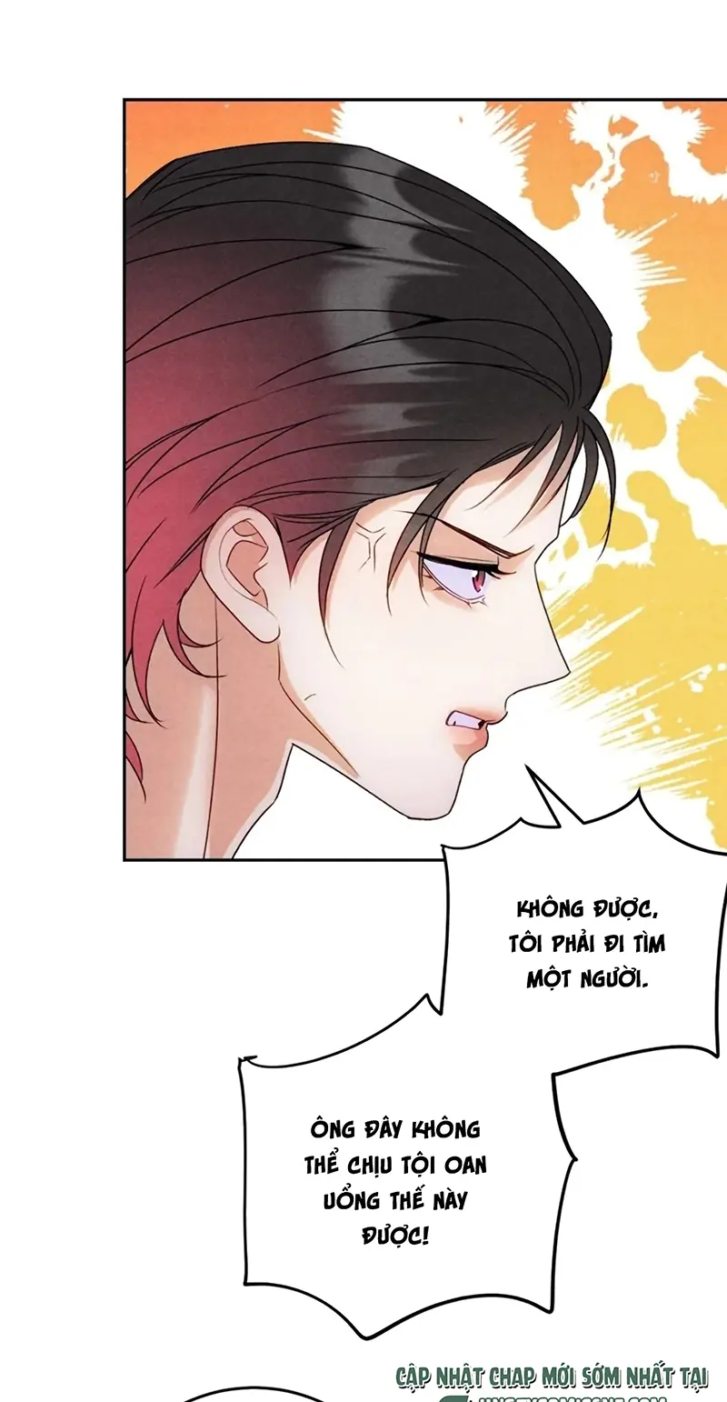 Xuyên Thành Con Ngỗng Vàng Của Đại Lão Alpha Chapter 24 - Trang 22