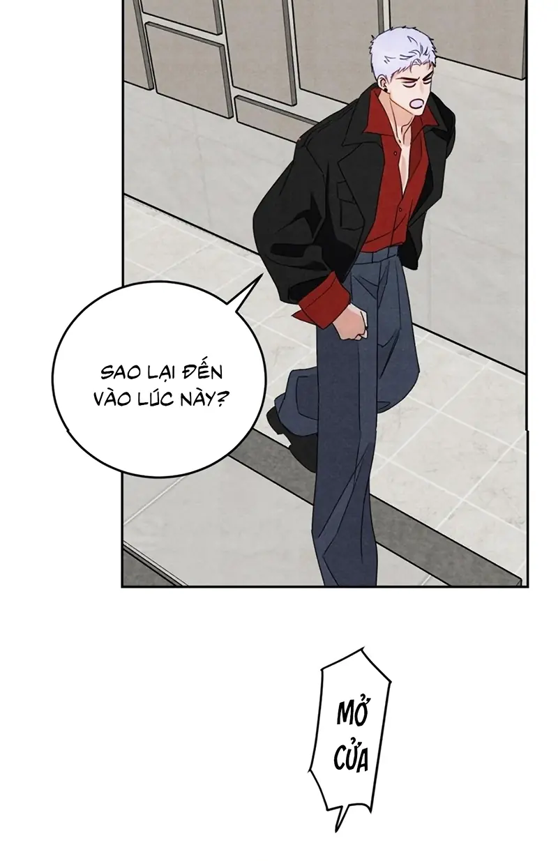 Xuyên Thành Con Ngỗng Vàng Của Đại Lão Alpha Chapter 24 - Trang 30