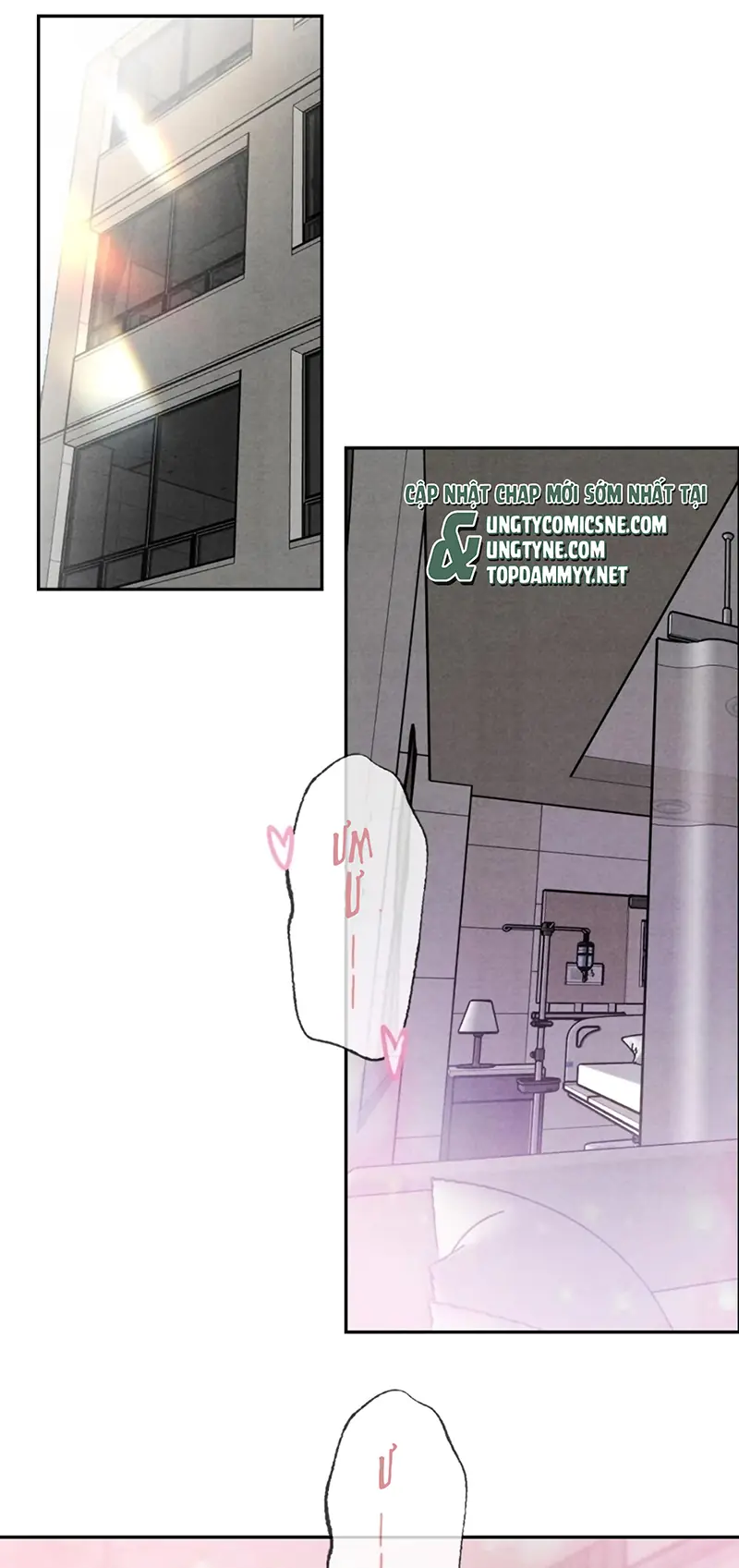 Xuyên Thành Con Ngỗng Vàng Của Đại Lão Alpha Chapter 24 - Trang 4