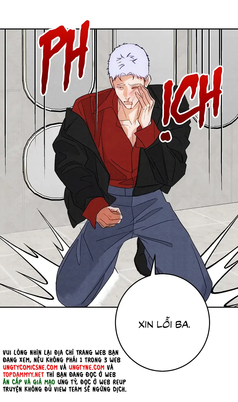 Xuyên Thành Con Ngỗng Vàng Của Đại Lão Alpha Chapter 25 - Trang 7