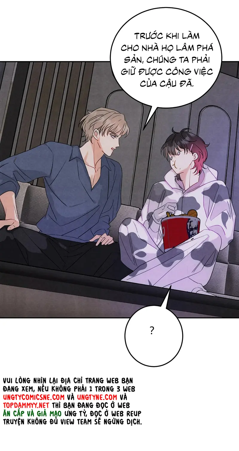 Xuyên Thành Con Ngỗng Vàng Của Đại Lão Alpha Chapter 27 - Trang 22