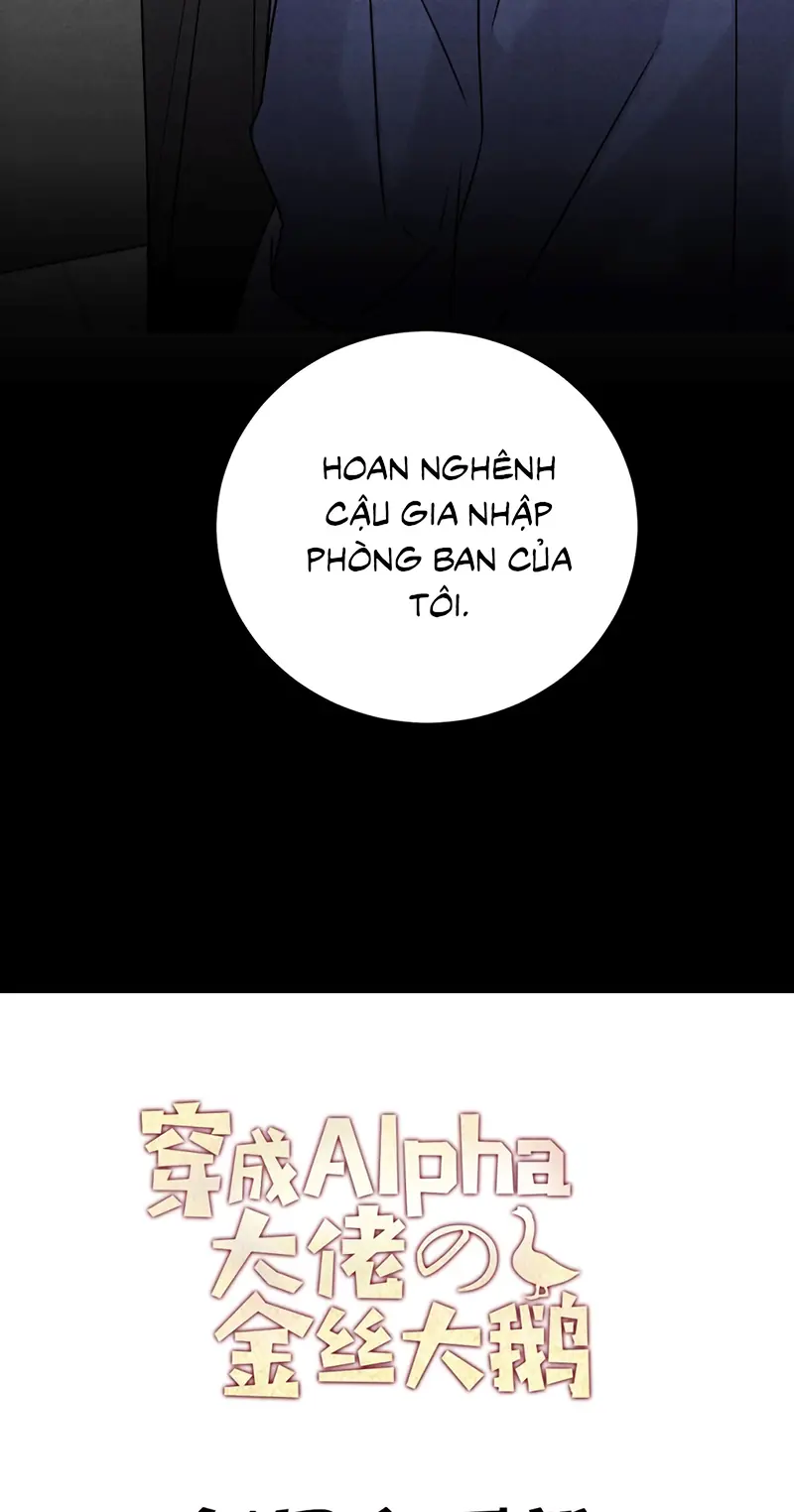 Xuyên Thành Con Ngỗng Vàng Của Đại Lão Alpha Chapter 28 - Trang 40