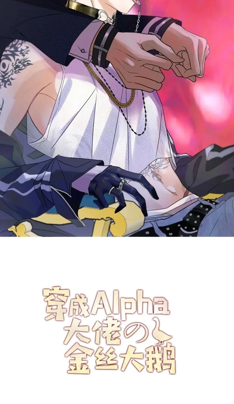 Xuyên Thành Con Ngỗng Vàng Của Đại Lão Alpha Chapter 29 - Trang 3